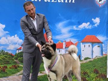 Slika na kojoj se prikazuje nebo, vanjski, pas, pasmina
Sadržaj generiran uz AI možda nije točan.