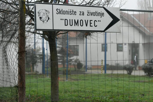 Četveronožni prijatelji koji čekaju svoj dom u Dumovcu